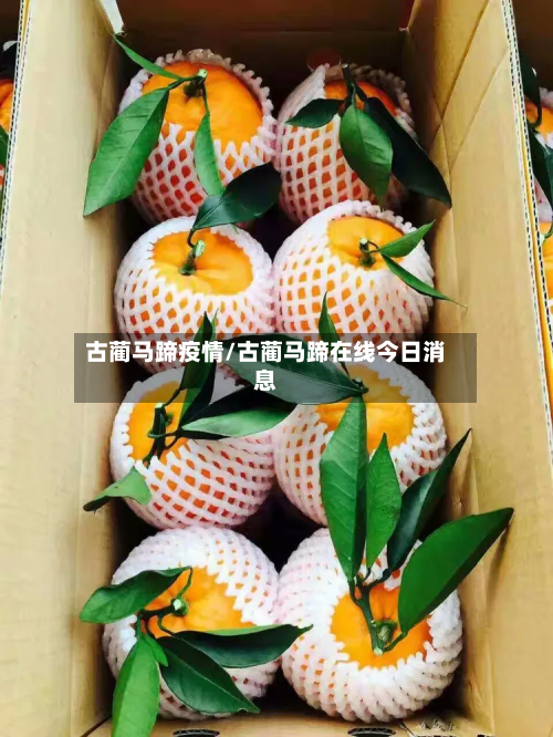 古蔺马蹄疫情/古蔺马蹄在线今日消息-第1张图片