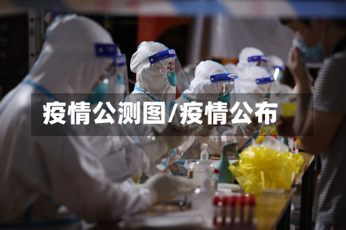 疫情公测图/疫情公布-第1张图片