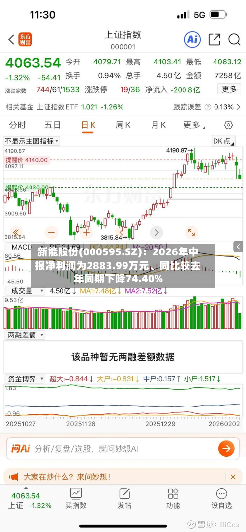 新能股份(000595.SZ):2026年中报净利润为2883.99万元、同比较去年同期下降74.40%-第3张图片