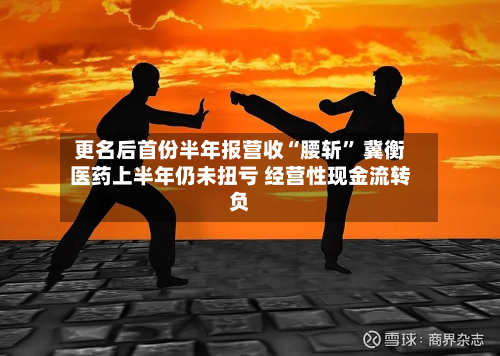 更名后首份半年报营收“腰斩” 冀衡医药上半年仍未扭亏 经营性现金流转负-第1张图片