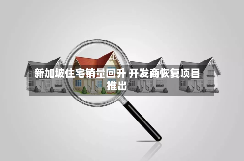 新加坡住宅销量回升 开发商恢复项目推出-第1张图片