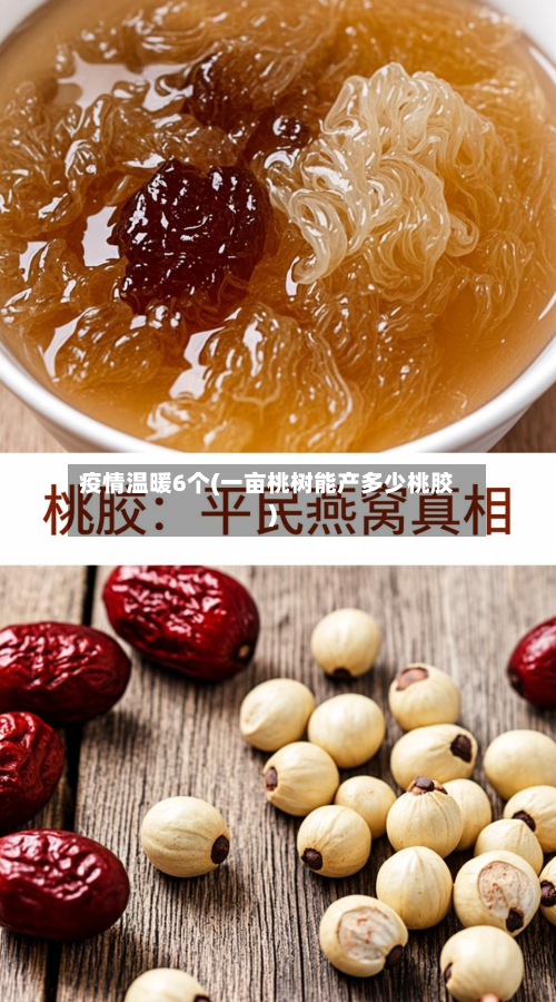 疫情温暖6个(一亩桃树能产多少桃胶)-第1张图片
