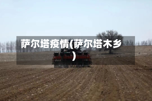 萨尔塔疫情(萨尔塔木乡)-第2张图片