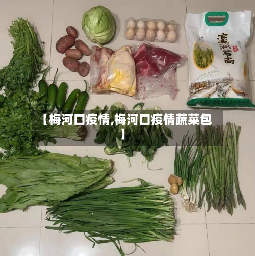 【梅河口疫情,梅河口疫情蔬菜包】