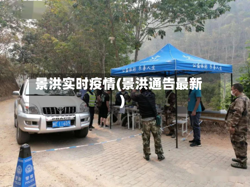 景洪实时疫情(景洪通告最新)-第2张图片