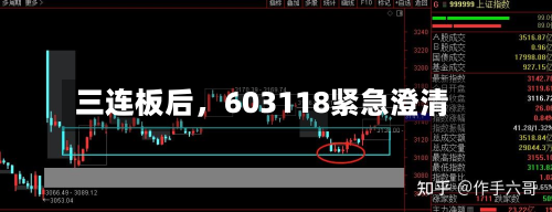 三连板后，603118紧急澄清