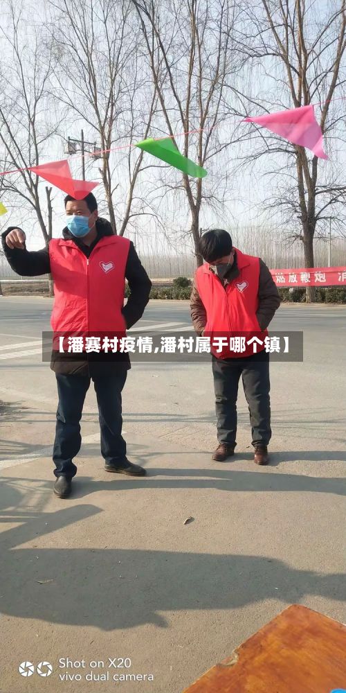 【潘赛村疫情,潘村属于哪个镇】-第2张图片