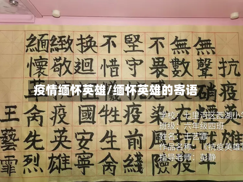 疫情缅怀英雄/缅怀英雄的寄语