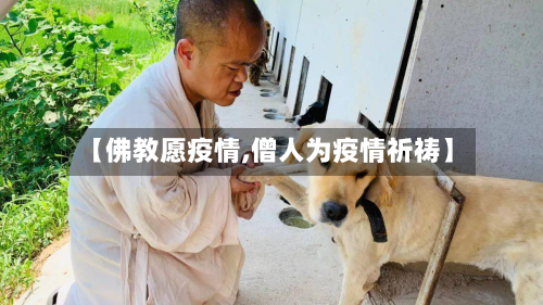 【佛教愿疫情,僧人为疫情祈祷】-第2张图片