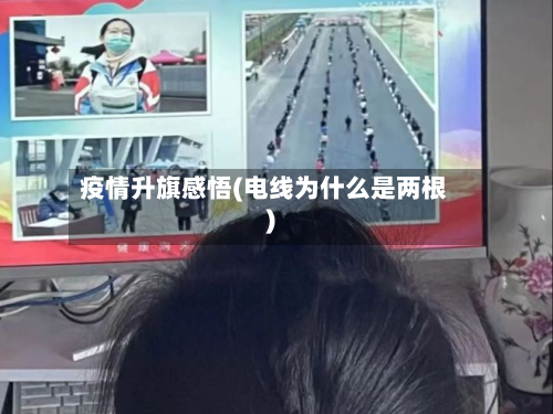 疫情升旗感悟(电线为什么是两根)-第1张图片
