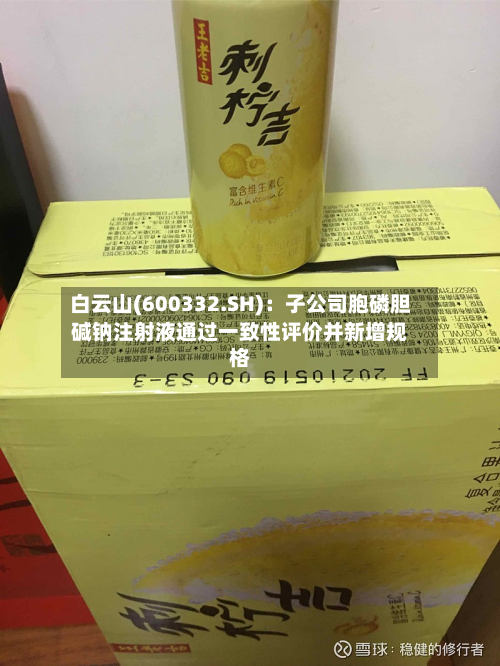 白云山(600332.SH):子公司胞磷胆碱钠注射液通过一致性评价并新增规格-第1张图片