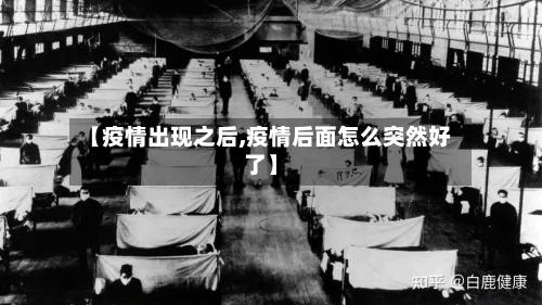 【疫情出现之后,疫情后面怎么突然好了】-第3张图片