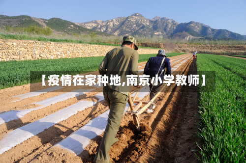 【疫情在家种地,南京小学教师】