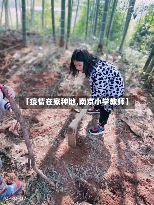 【疫情在家种地,南京小学教师】-第3张图片