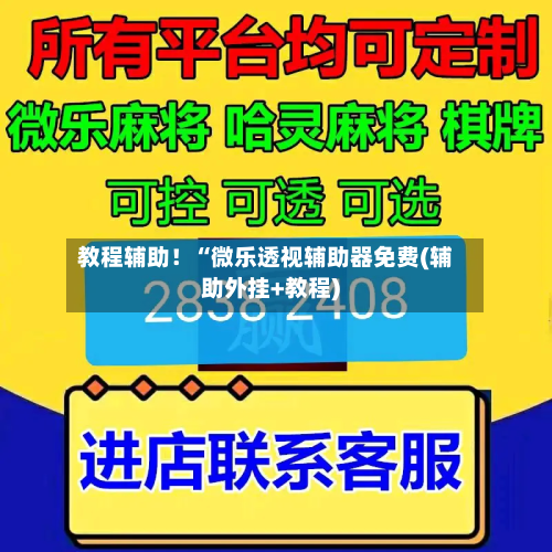 教程辅助!“微乐透视辅助器免费(辅助外挂+教程)-第2张图片