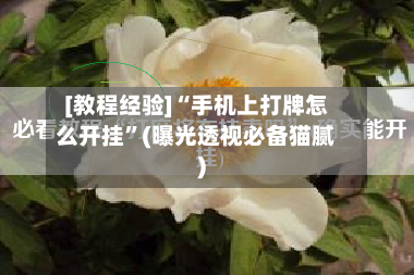 [教程经验]“手机上打牌怎么开挂”(曝光透视必备猫腻)