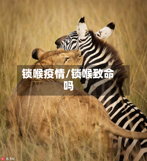 锁喉疫情/锁喉致命吗