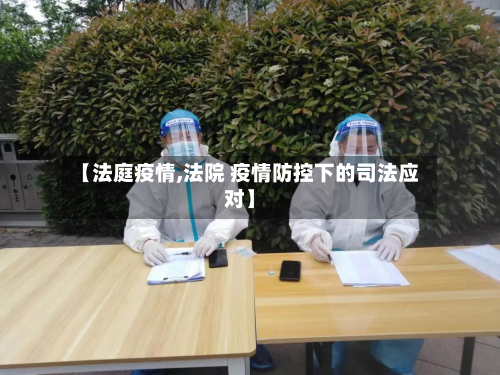 【法庭疫情,法院 疫情防控下的司法应对】-第2张图片