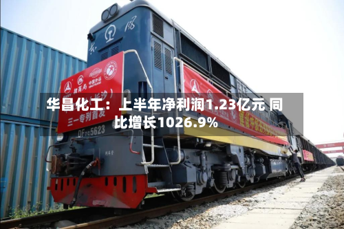 华昌化工:上半年净利润1.23亿元 同比增长1026.9%-第3张图片