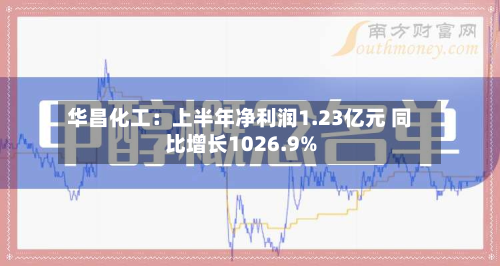 华昌化工:上半年净利润1.23亿元 同比增长1026.9%-第2张图片
