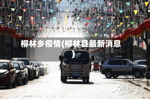 柳林乡疫情(柳林县最新消息)-第3张图片