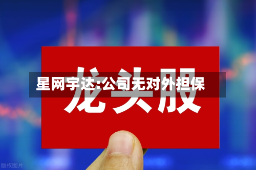 星网宇达:公司无对外担保