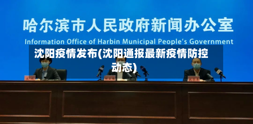 沈阳疫情发布(沈阳通报最新疫情防控动态)-第2张图片