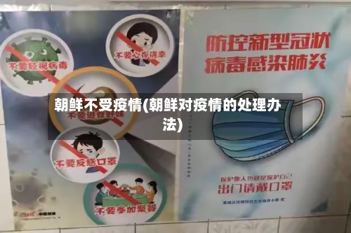 朝鲜不受疫情(朝鲜对疫情的处理办法)-第2张图片