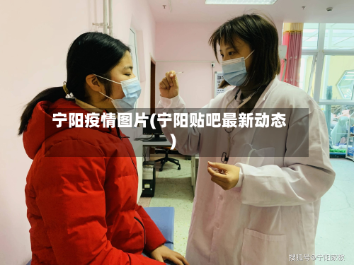 宁阳疫情图片(宁阳贴吧最新动态)-第2张图片