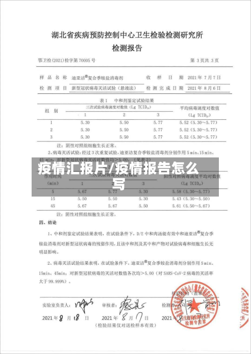 疫情汇报片/疫情报告怎么写-第1张图片