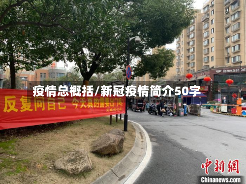 疫情总概括/新冠疫情简介50字-第1张图片