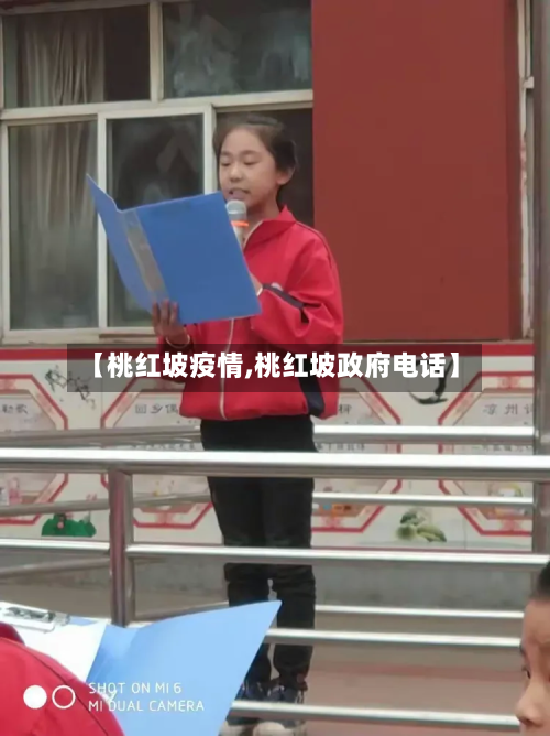 【桃红坡疫情,桃红坡政府电话】-第2张图片