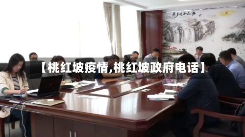 【桃红坡疫情,桃红坡政府电话】