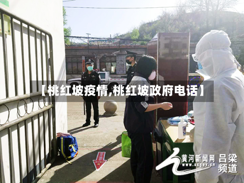 【桃红坡疫情,桃红坡政府电话】-第3张图片