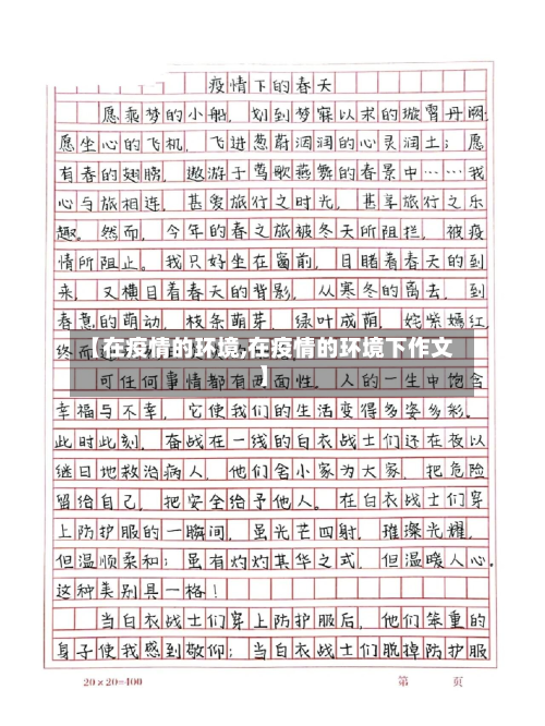 【在疫情的环境,在疫情的环境下作文】