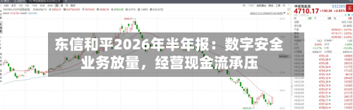 东信和平2026年半年报：数字安全业务放量，经营现金流承压