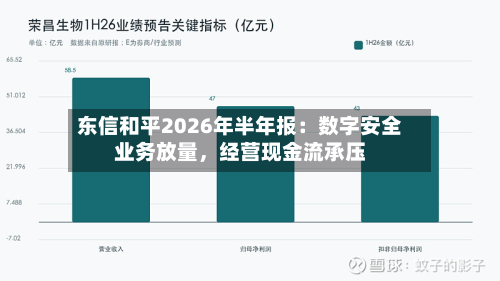 东信和平2026年半年报：数字安全业务放量，经营现金流承压-第2张图片