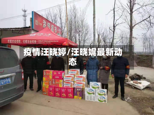 疫情汪晓婷/汪晓娓最新动态