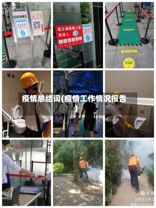 疫情总结词(疫情工作情况报告)-第3张图片
