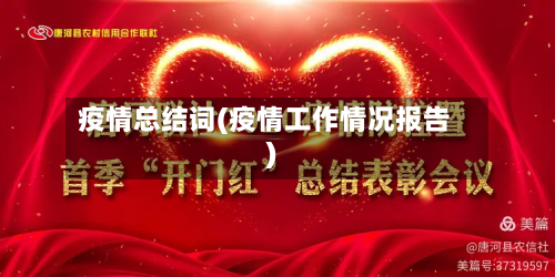 疫情总结词(疫情工作情况报告)