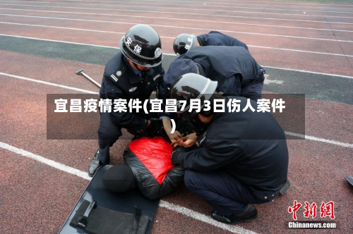 宜昌疫情案件(宜昌7月3日伤人案件)