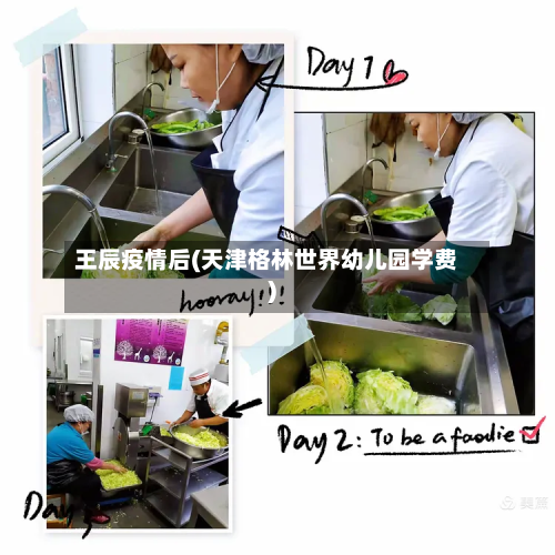 王辰疫情后(天津格林世界幼儿园学费)