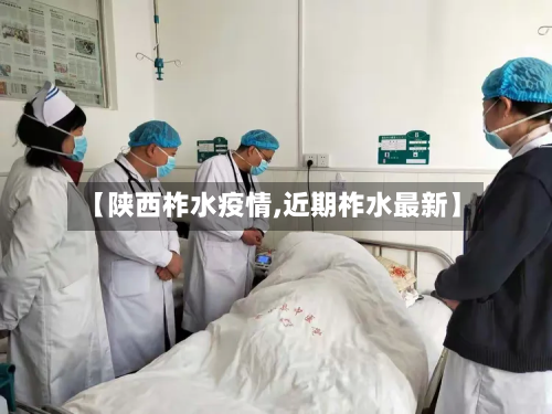 【陕西柞水疫情,近期柞水最新】-第3张图片