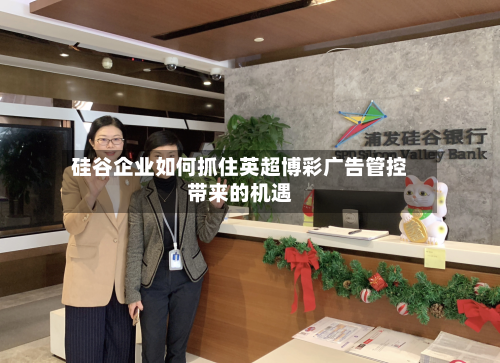 硅谷企业如何抓住英超博彩广告管控带来的机遇-第2张图片