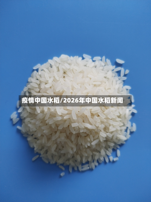 疫情中国水稻/2026年中国水稻新闻