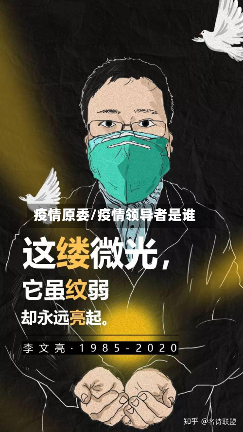 疫情原委/疫情领导者是谁-第1张图片