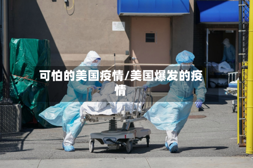 可怕的美国疫情/美国爆发的疫情-第2张图片