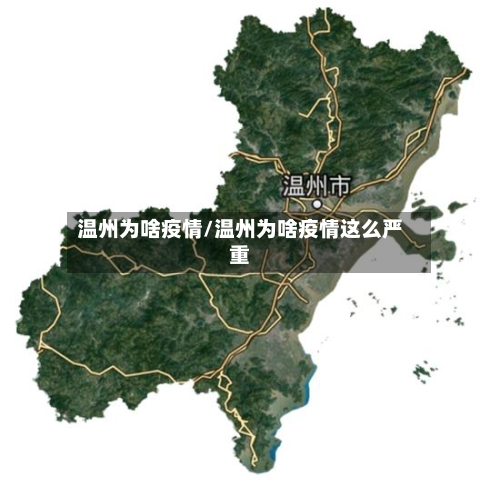 温州为啥疫情/温州为啥疫情这么严重-第2张图片