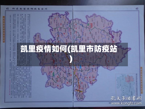 凯里疫情如何(凯里市防疫站)-第2张图片