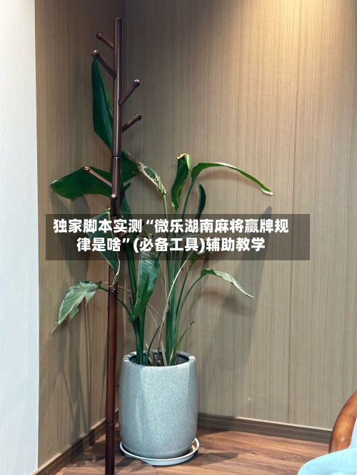 独家脚本实测“微乐湖南麻将赢牌规律是啥”(必备工具)辅助教学